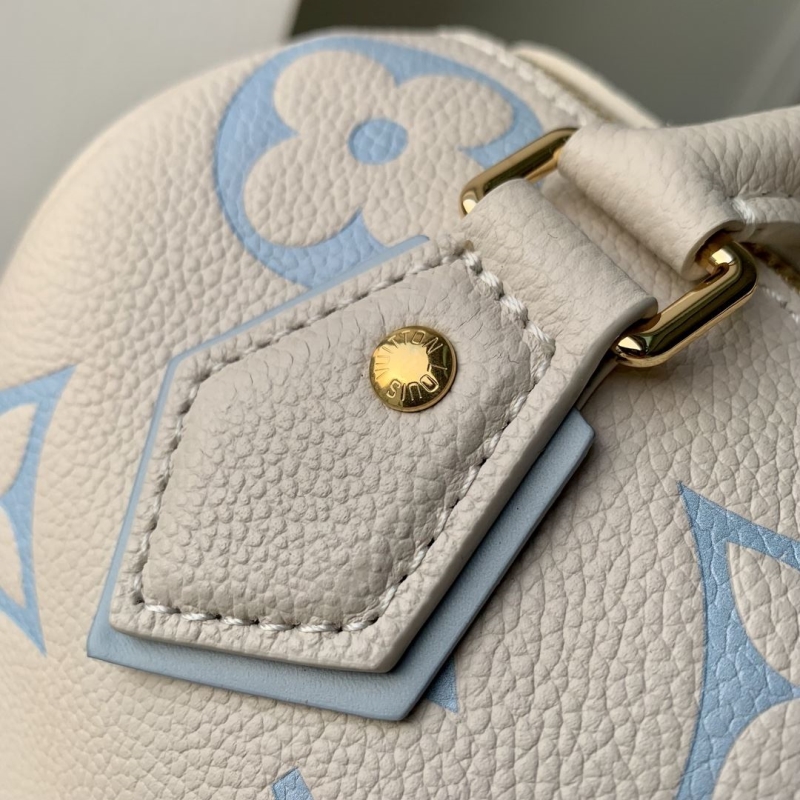 LV Travel Bags